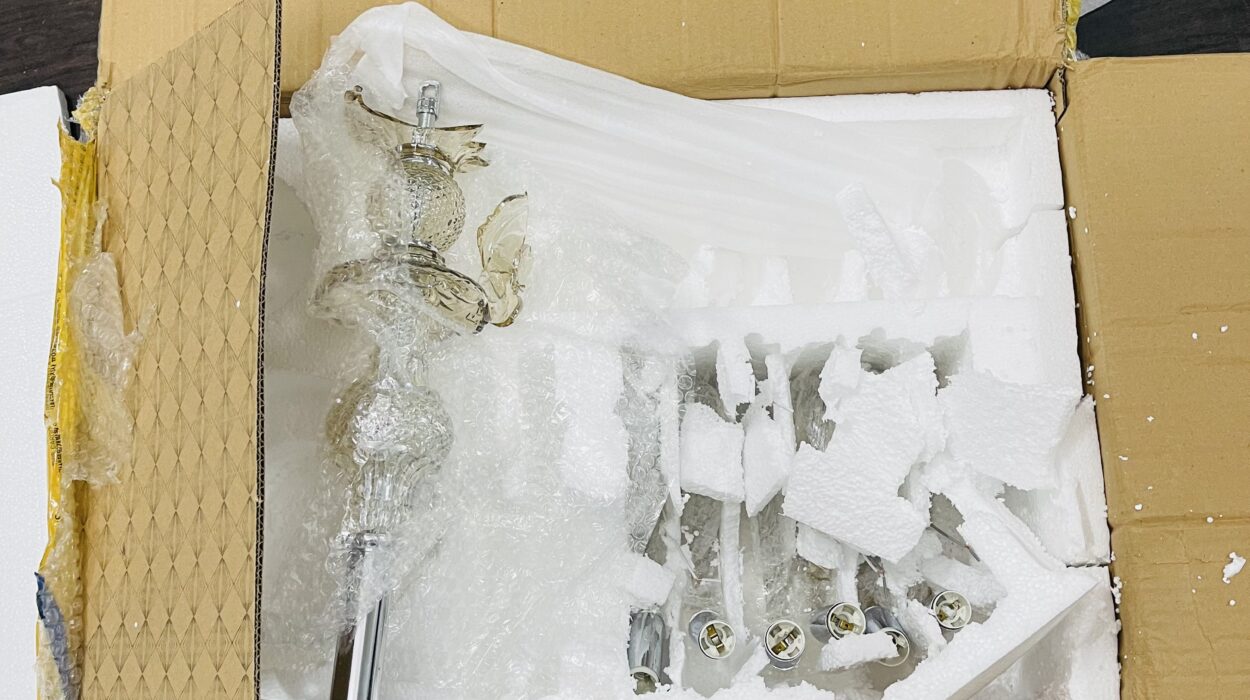 2021 06 29 zeperito wonderland 002