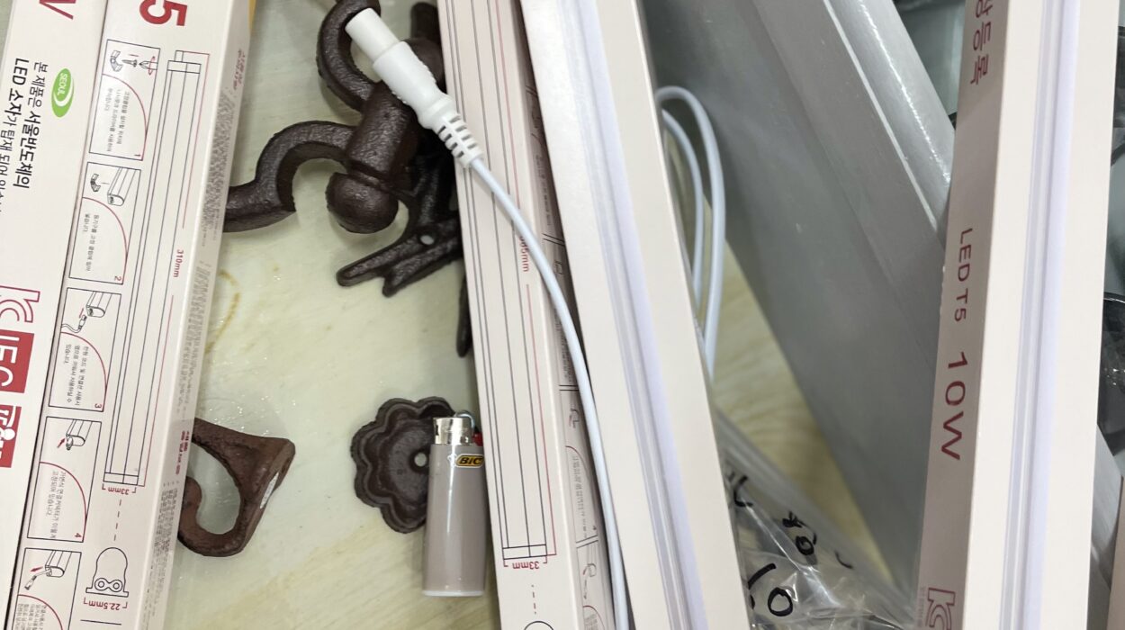 2022 06 20 zeperito wonderland