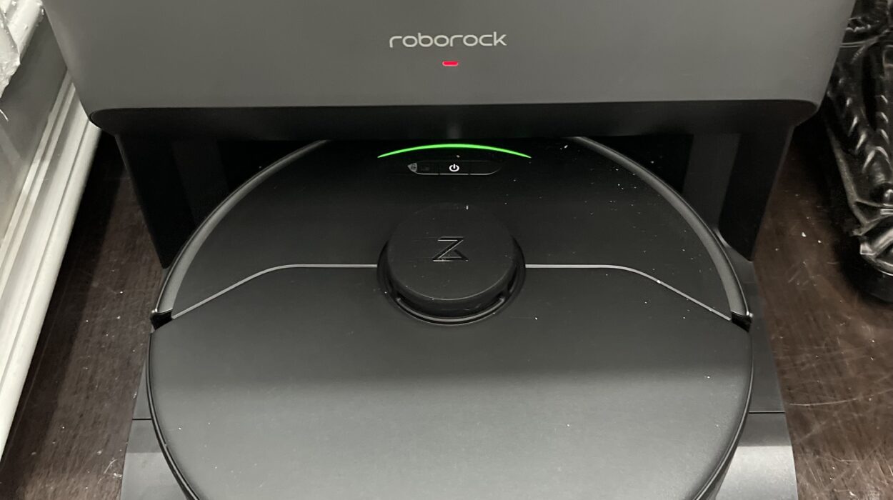 2022 06 24 zeperito wonderland