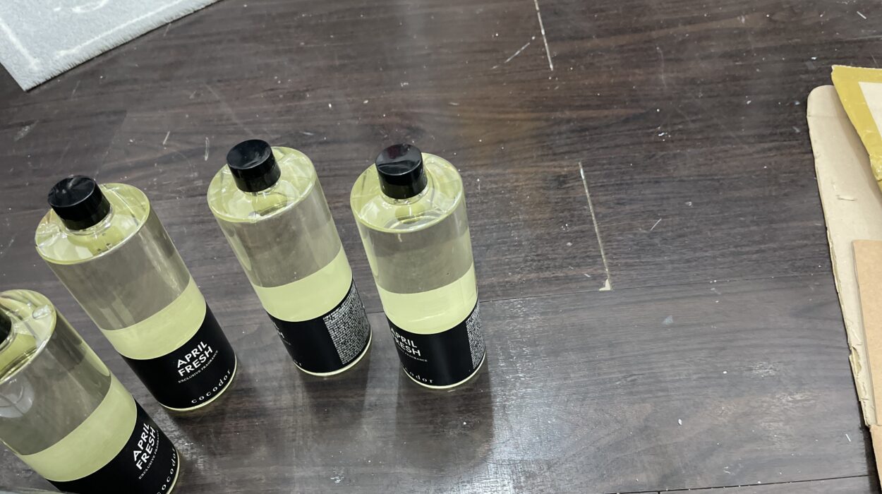 2022 06 28 zeperito wonderland