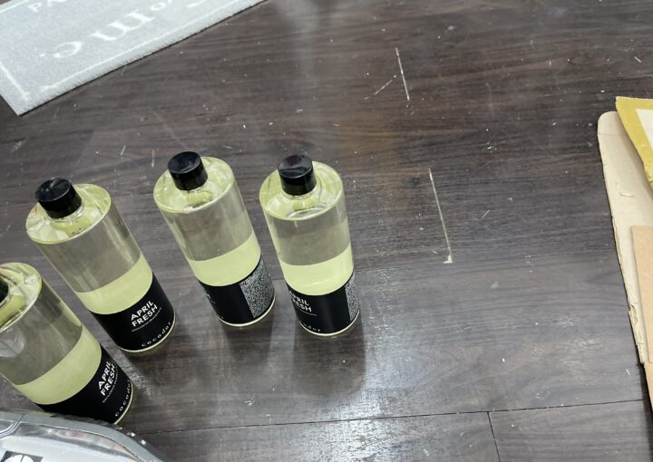 2022 06 28 zeperito wonderland