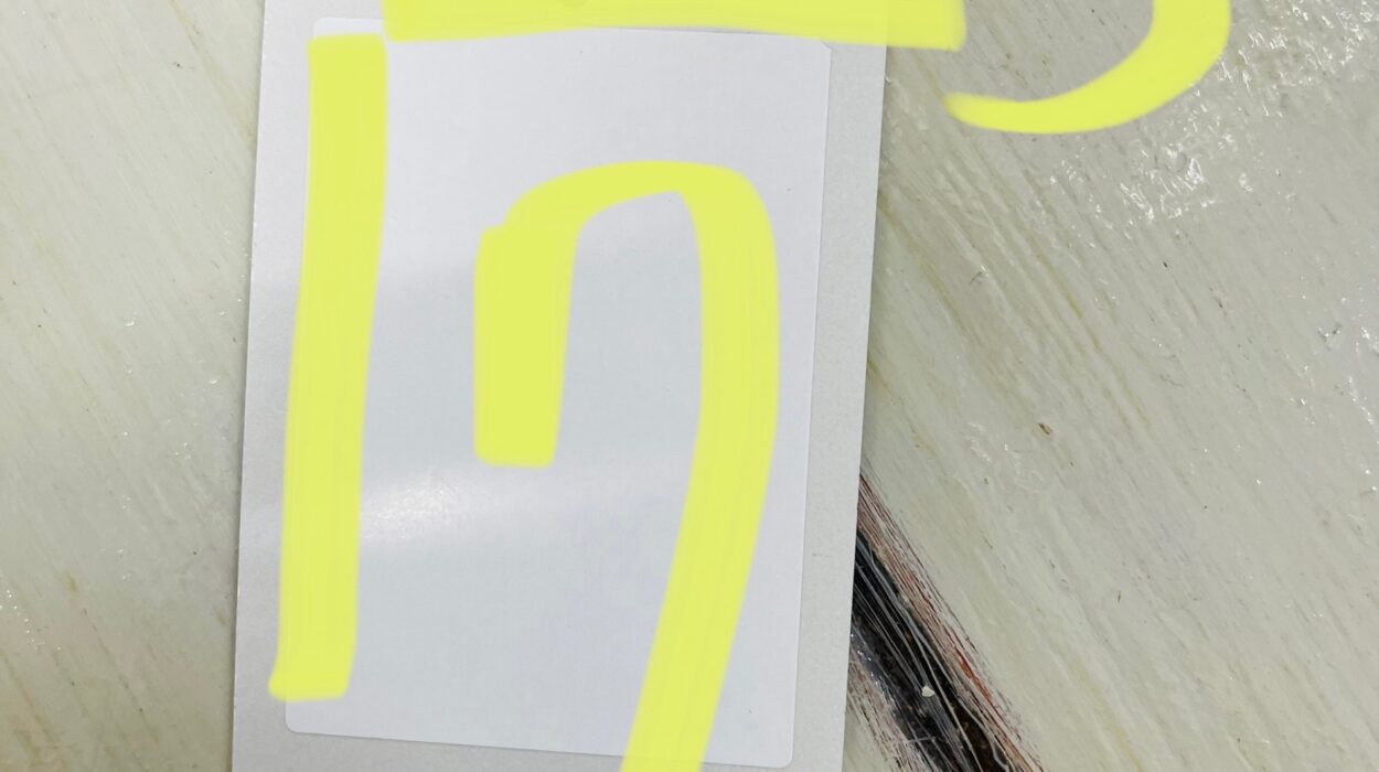 2022 07 01 zeperito wonderland