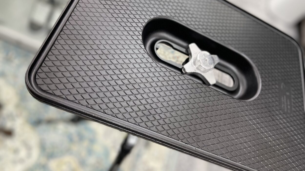 2022 07 03 zeperito wonderland