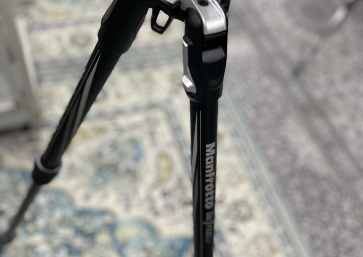 2022 07 04 zeperito wonderland