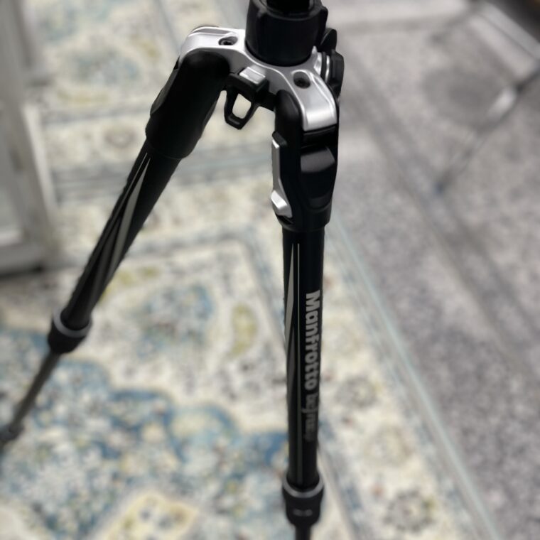 2022 07 04 zeperito wonderland