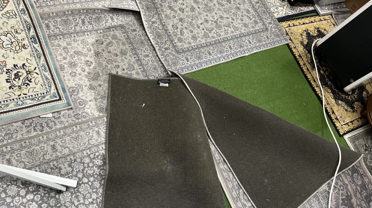 2022 07 07 zeperito wonderland