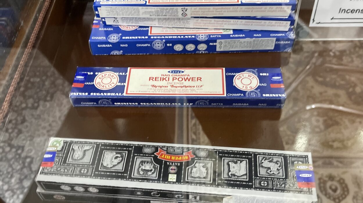 2022 07 08 zeperito wonderland