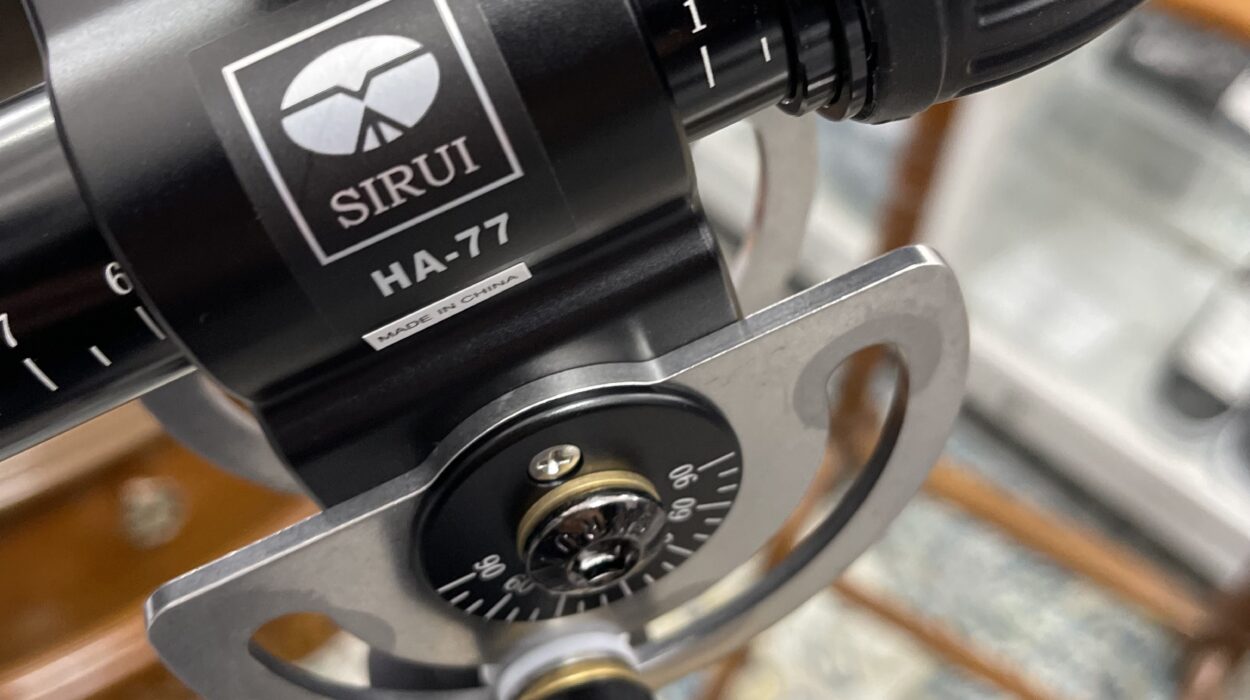 2022 07 09 zeperito wonderland