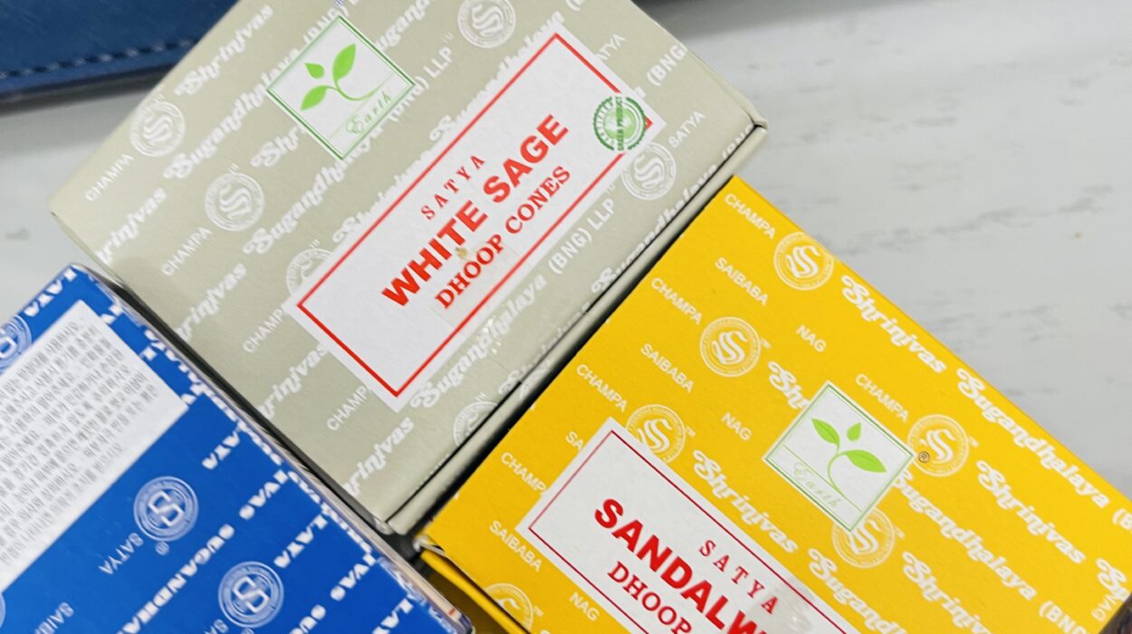 2022 07 12 zeperito wonder land