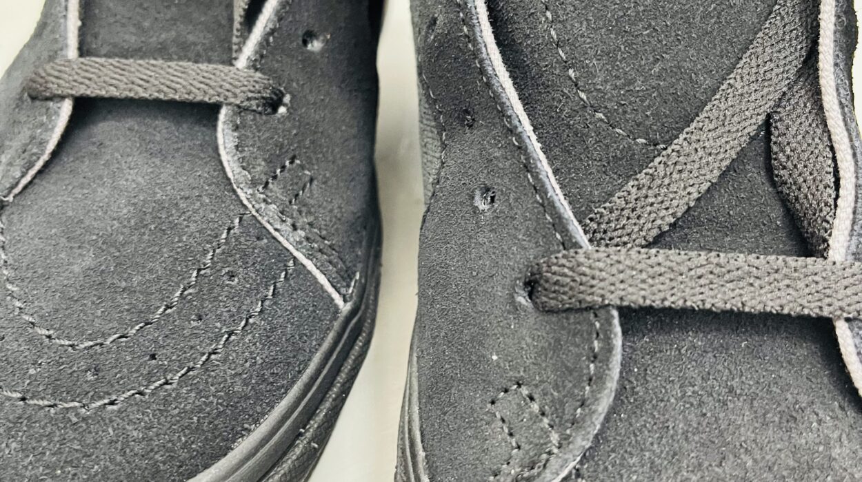 2022 07 13 zeperito wonder land