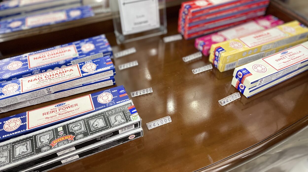 2022 07 15 zeperito wonder land