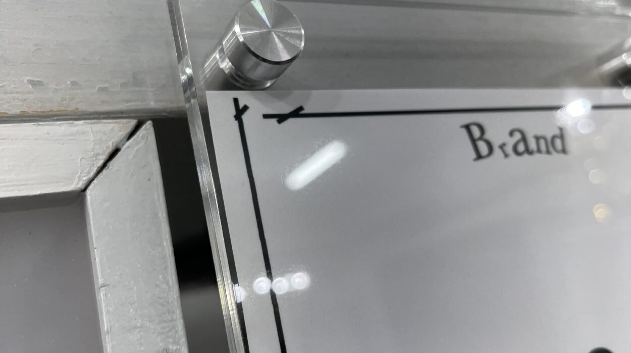 2022 07 16 zeperito wonder land