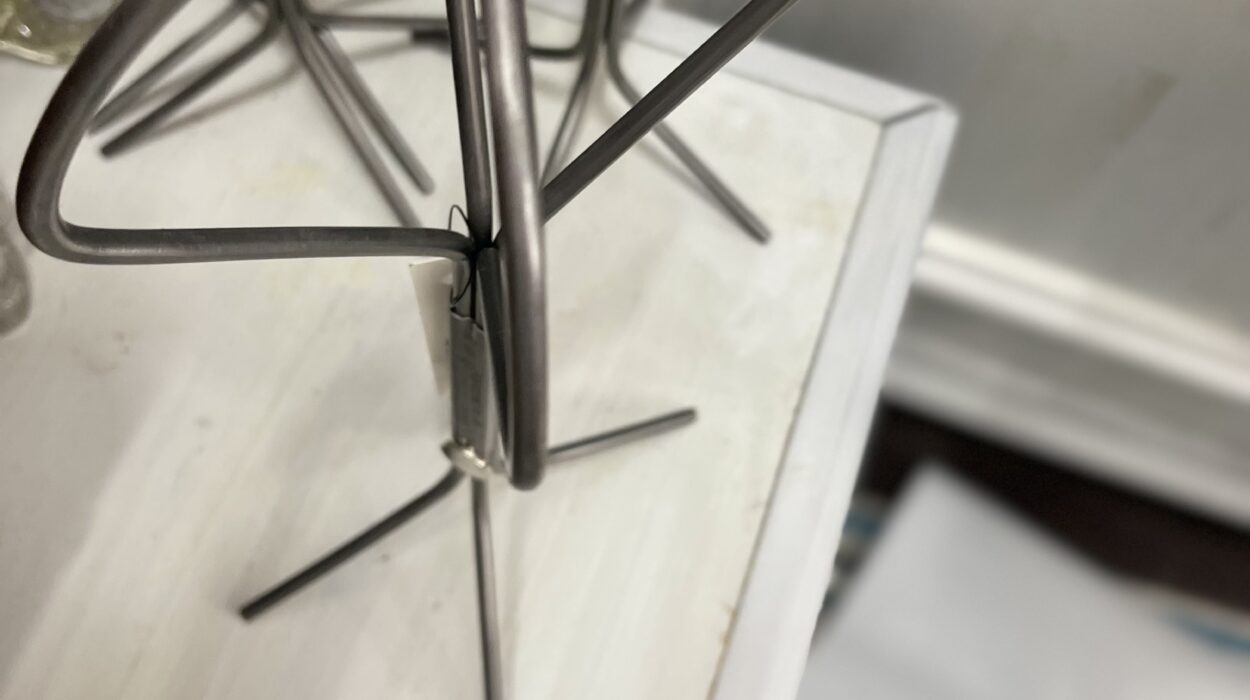 2022 07 22 zeperito wonder land