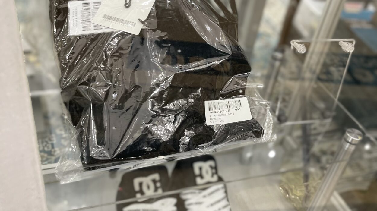 zeperito Wonderland Show case