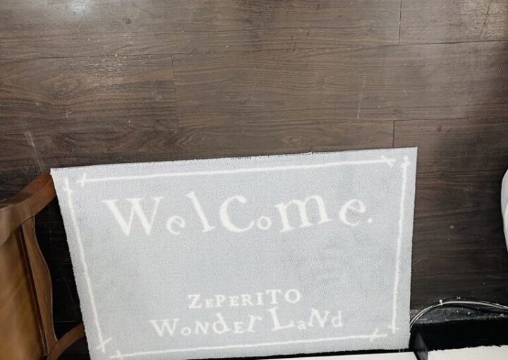 zeperito wonderland welcome mat