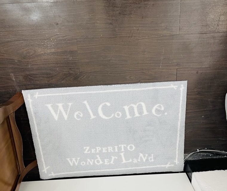 zeperito wonderland welcome mat