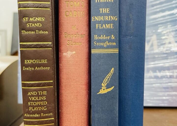 Zeperito Wonderland Object