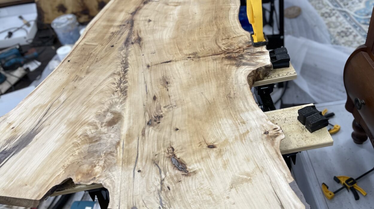 Zeperito Wonderland Wood Slab