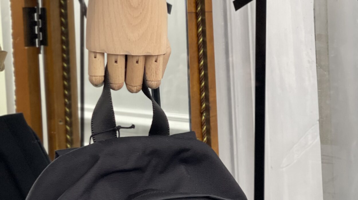 zeperito wonderland Show case