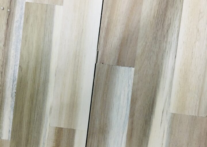 Zeperito Wonderland 아카시아 나무