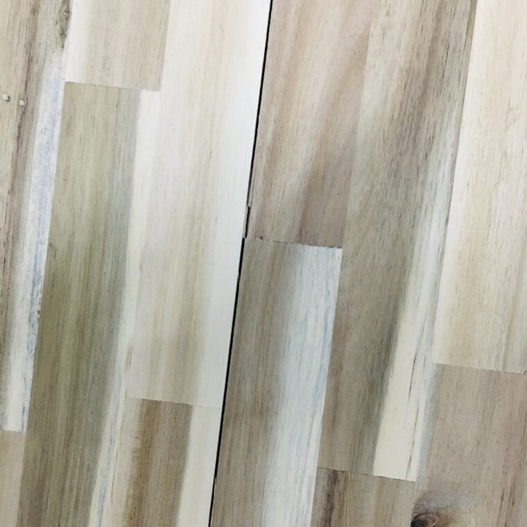 Zeperito Wonderland 아카시아 나무