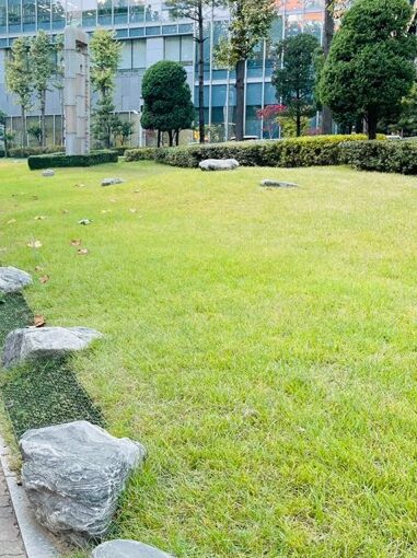 2021 11 02 zeperito wonderland