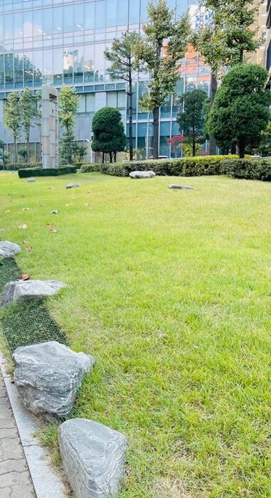 2021 11 02 zeperito wonderland