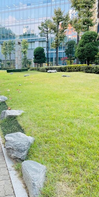 2021 11 02 zeperito wonderland