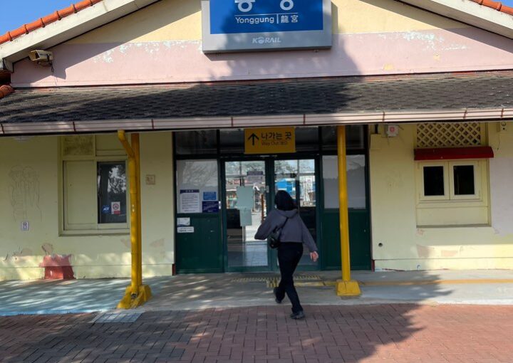 2023 03 19 zeperito wonderland