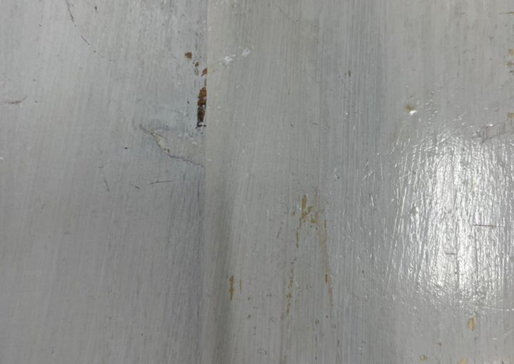 2023 04 26 zeperito wonderland