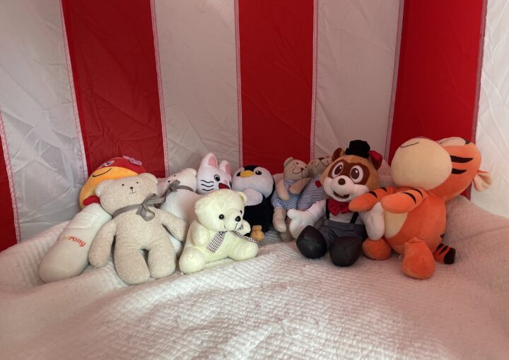 2023 04 22 zeperito wonderland