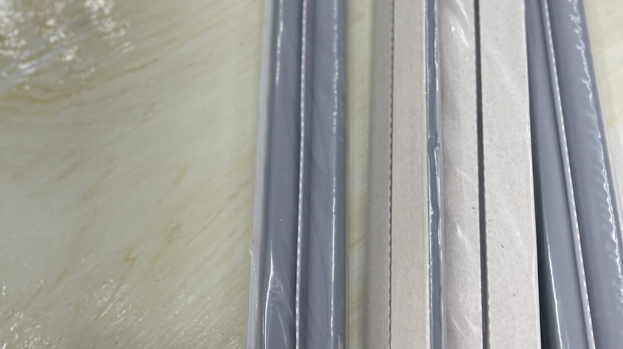 2022 04 02 Zeperito Wonderland