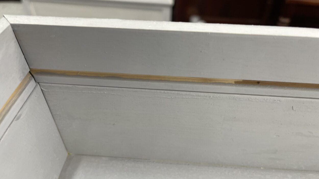 2022 06 06 zeperito wonderland