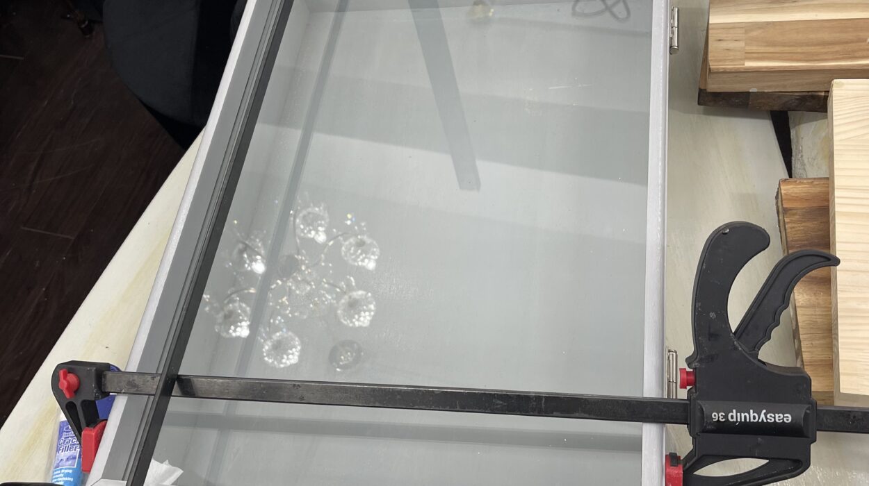 2022 06 07 zeperito wonderland