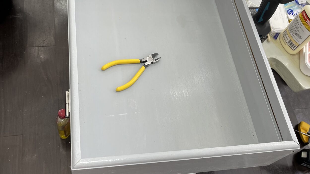 2022 06 08 zeperito wonderland