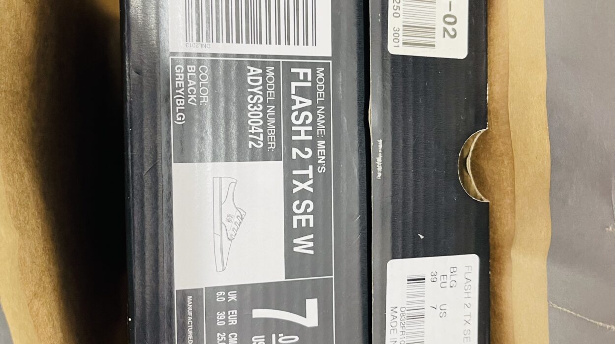 2022 06 09 zeperito wonderland