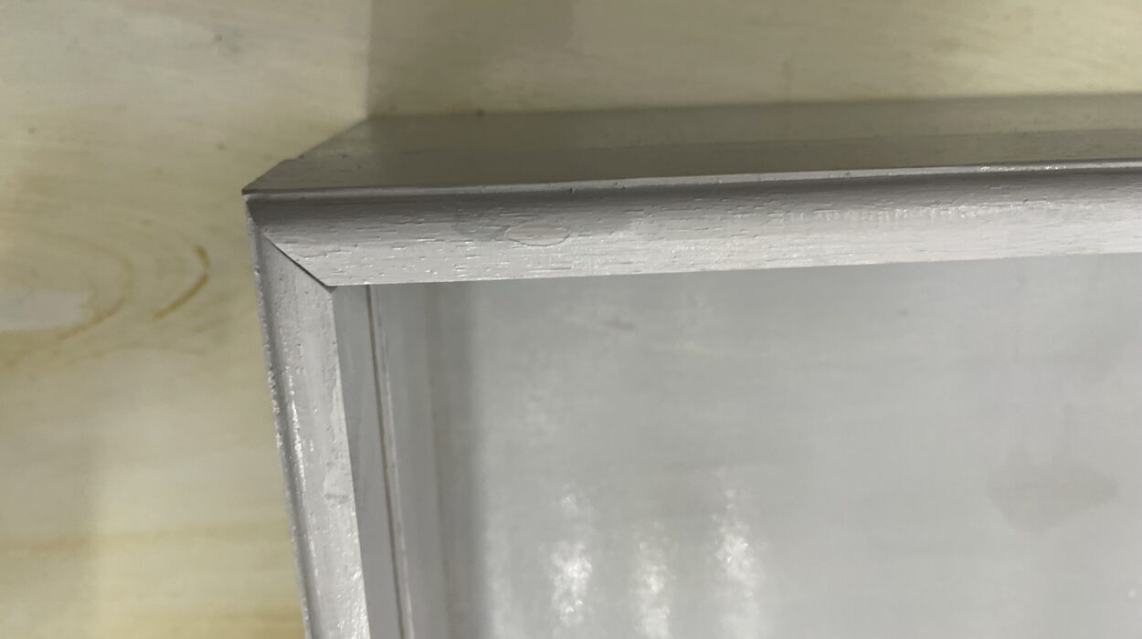 2022 06 10 zeperito wonderland