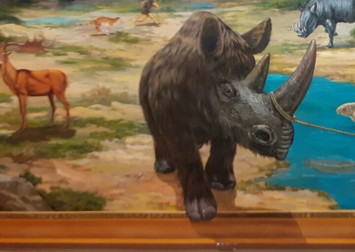 2022 06 12 zeperito wonderland