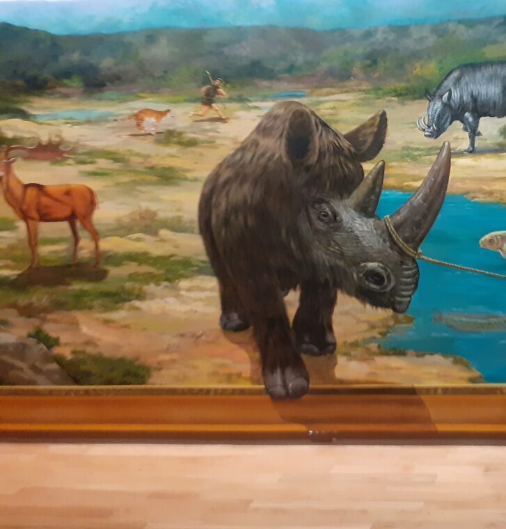 2022 06 12 zeperito wonderland