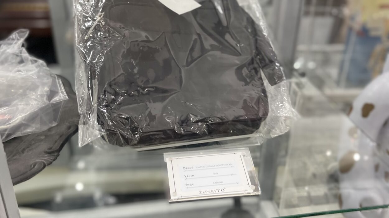 2022 06 26 zeperito wonderland