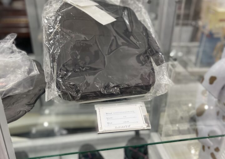 2022 06 26 zeperito wonderland