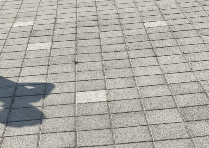 2023 05 14 zeperito wonderland