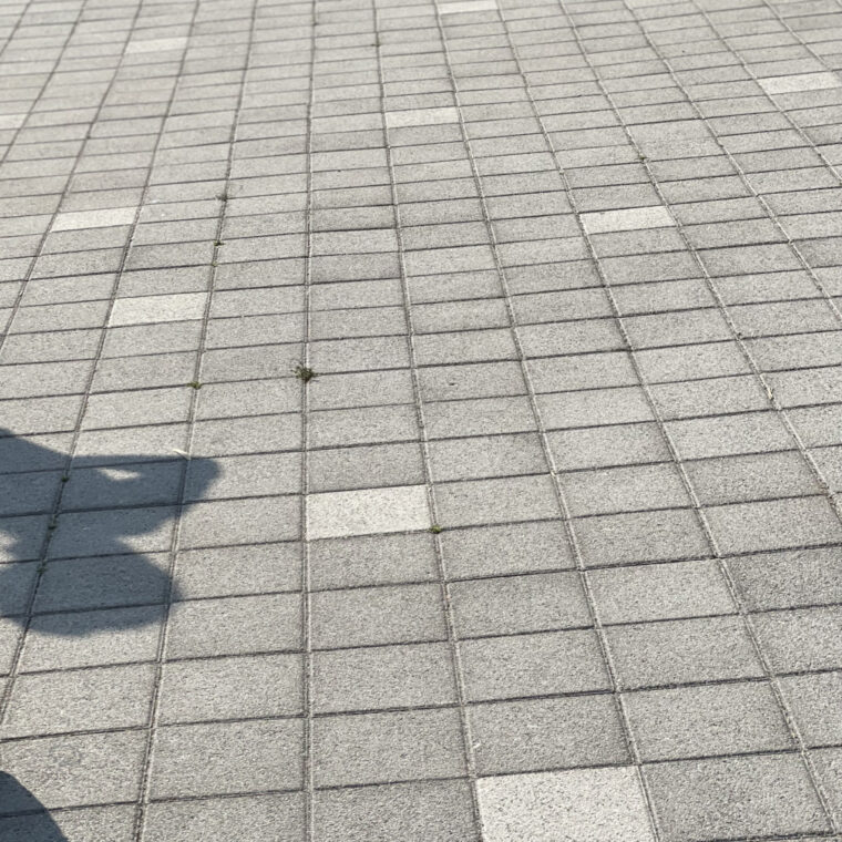 2023 05 14 zeperito wonderland