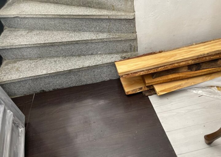 2023 05 19 zeperito wonderland 001