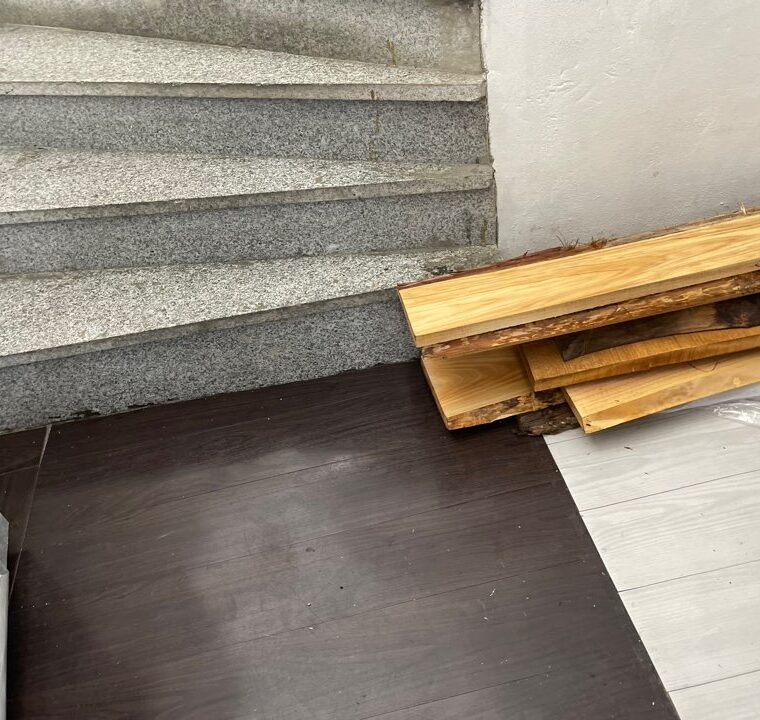 2023 05 19 zeperito wonderland 001