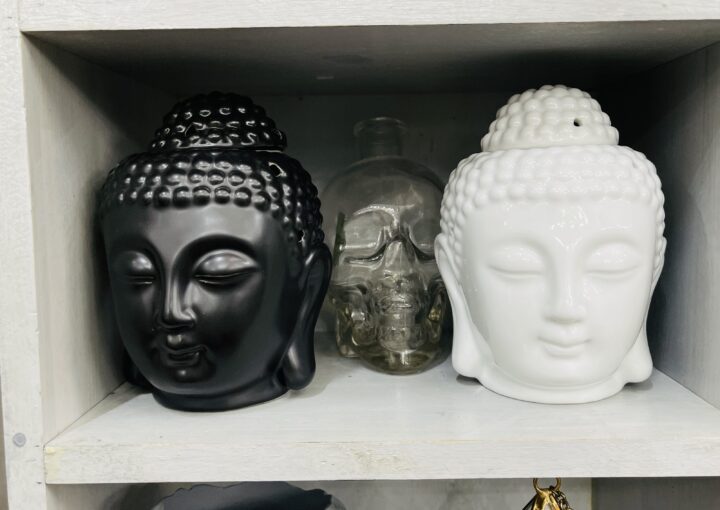 2023 07 05 zeperito wonderland