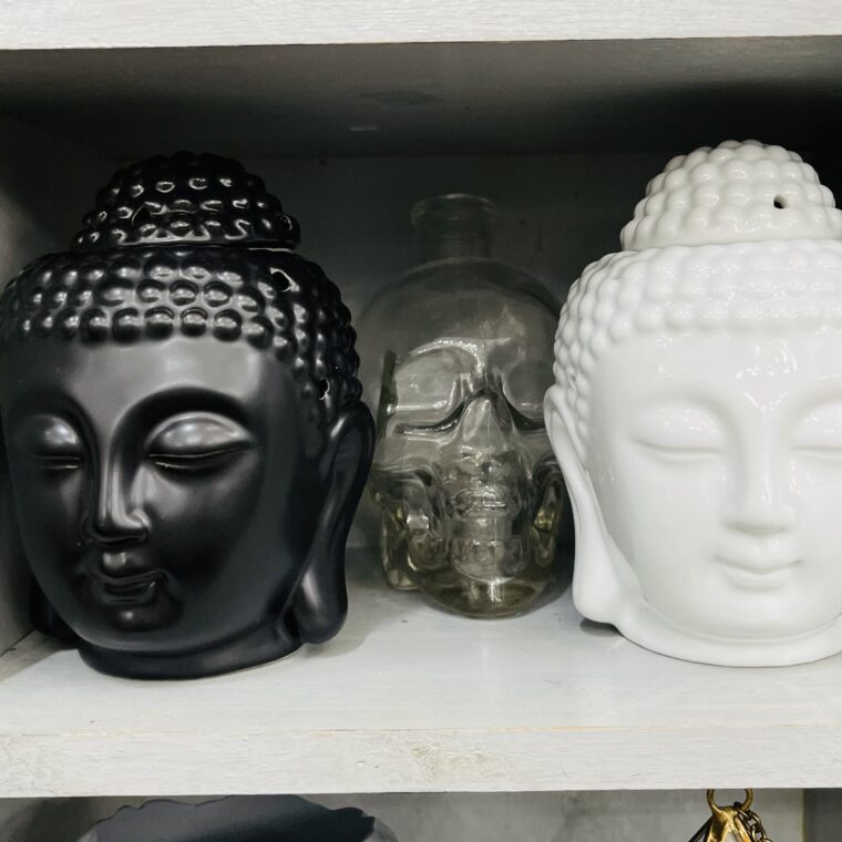 2023 07 05 zeperito wonderland