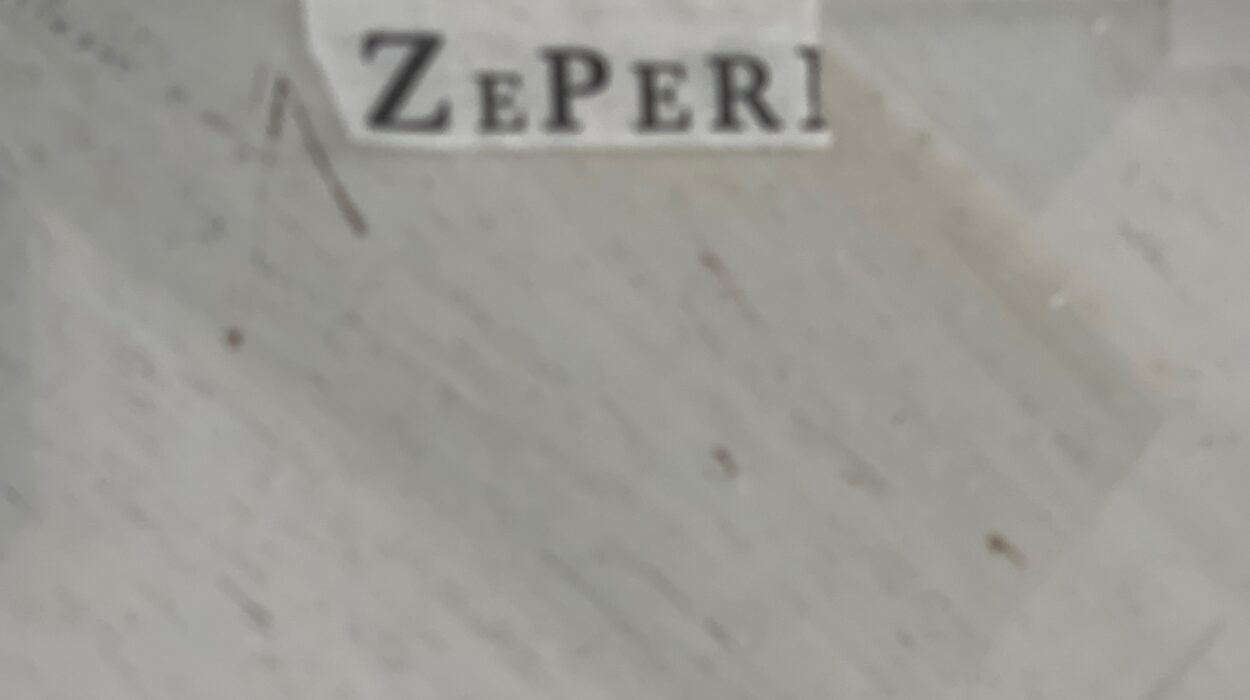 zeperito-wonderland-dailyworkbook-1011