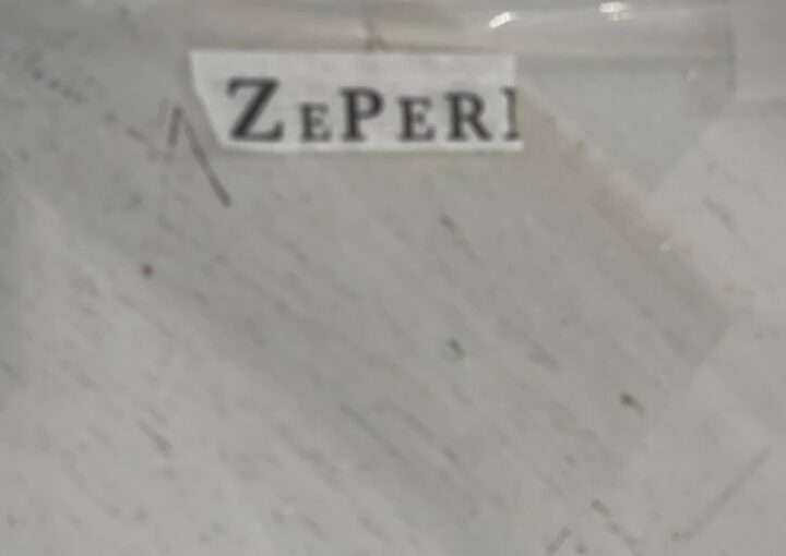 zeperito-wonderland-dailyworkbook-1011