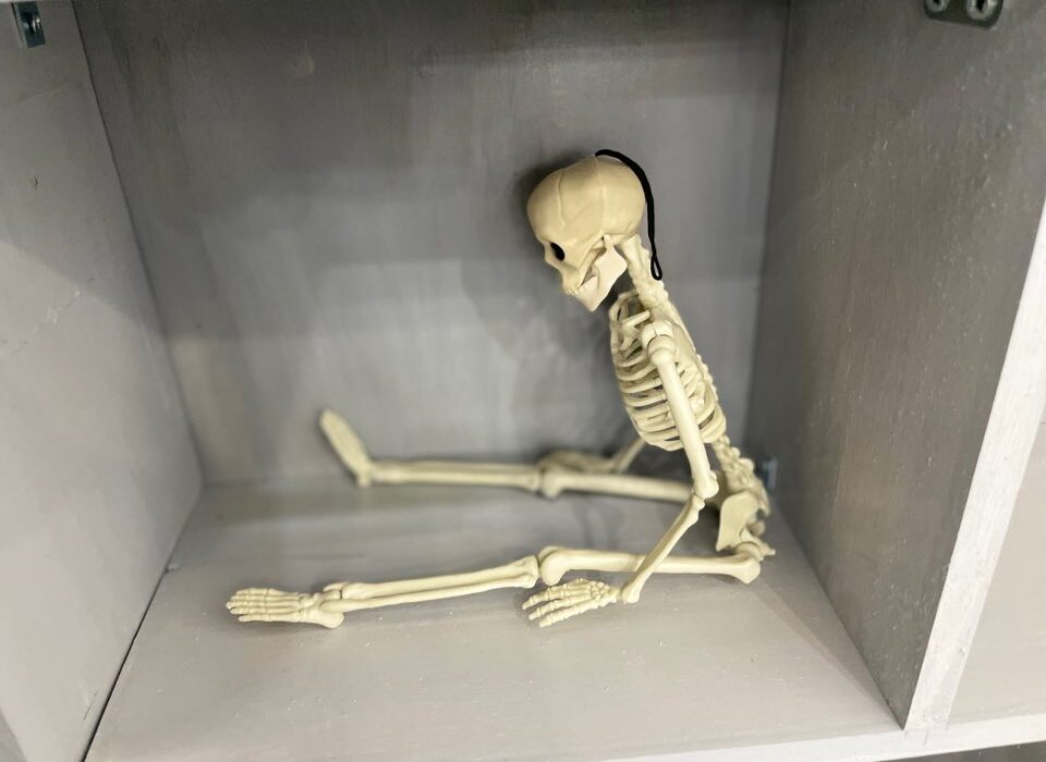 2023 07 14 zeperito wonderland